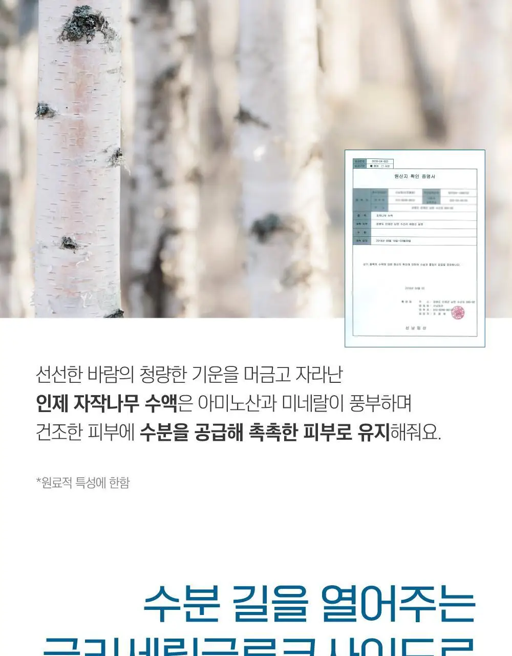 [저자극/안심자차] 라운드랩 자작나무 무기자차 선크림 50ml 기획 (+클렌저20ml) 상세페이지 13